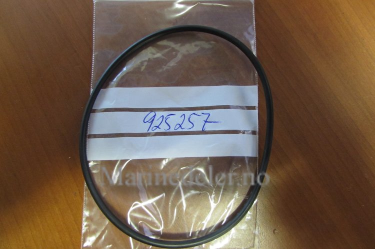 (bilde for) O-RING 925257