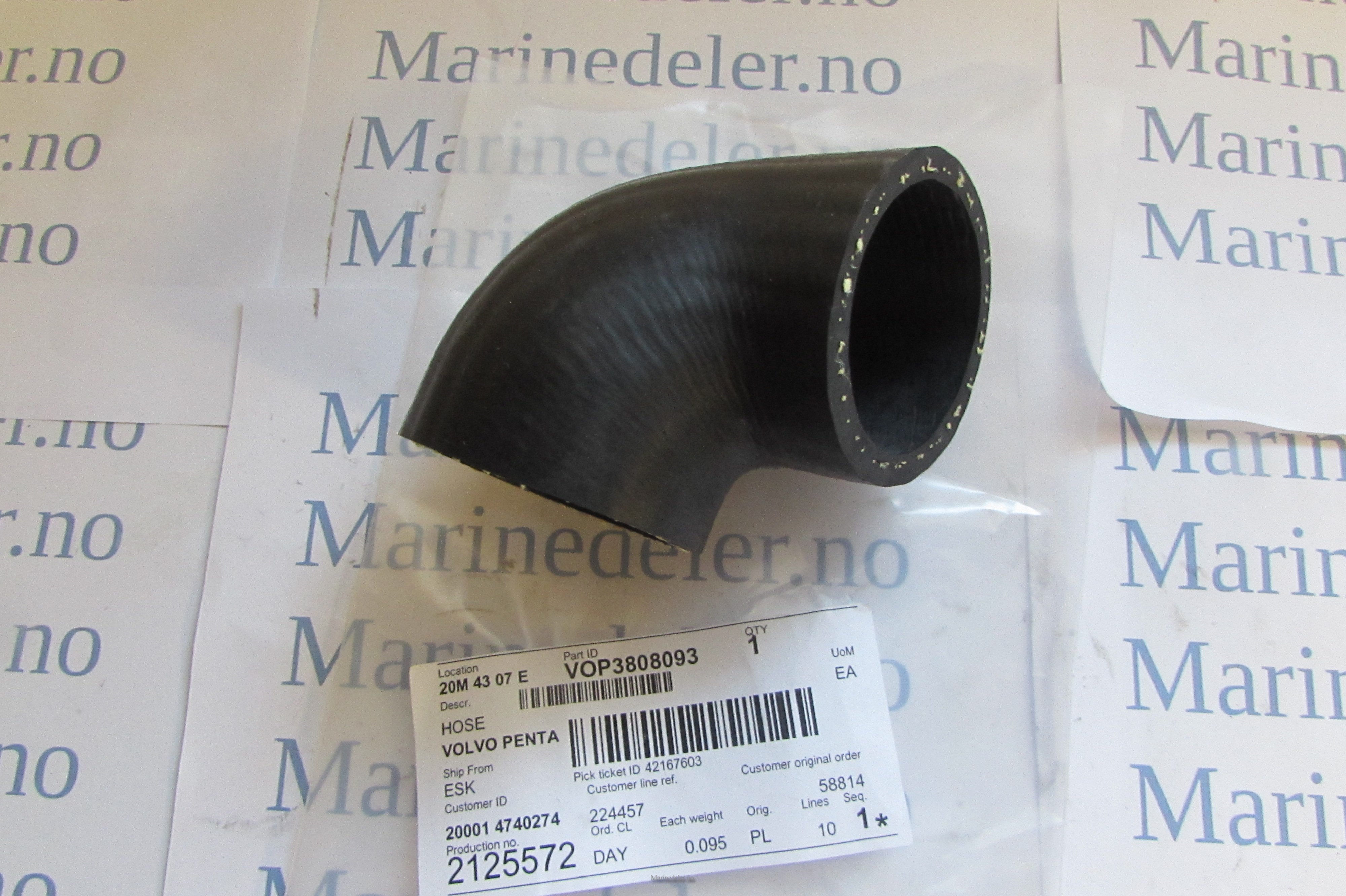 (bilde for) Slange 3808093