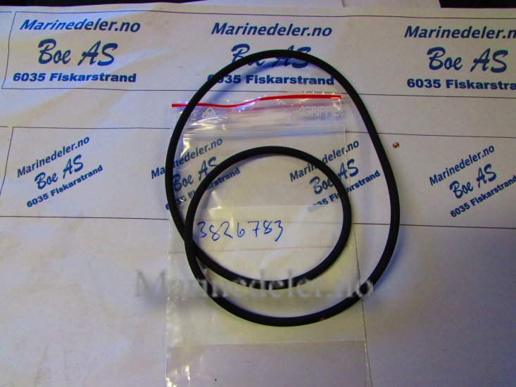 (bilde for) O-RING 3826783