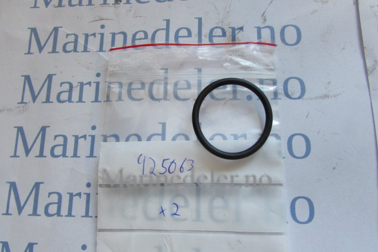 (bilde for) O-RING 925063