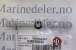 (bilde for) FJADERBRICKA