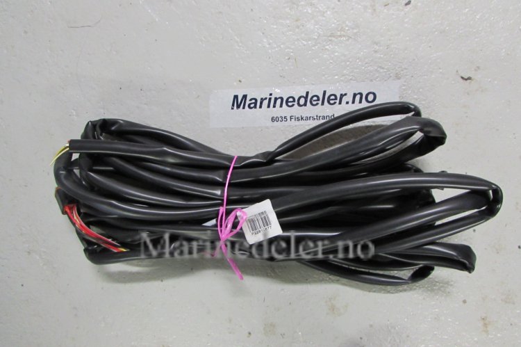 (bilde for) LEDNINGSMATTA