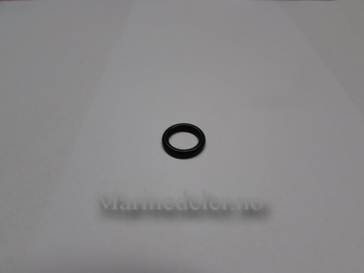 (bilde for) O-RING 955981