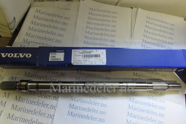(bilde for) AXEL 23114209