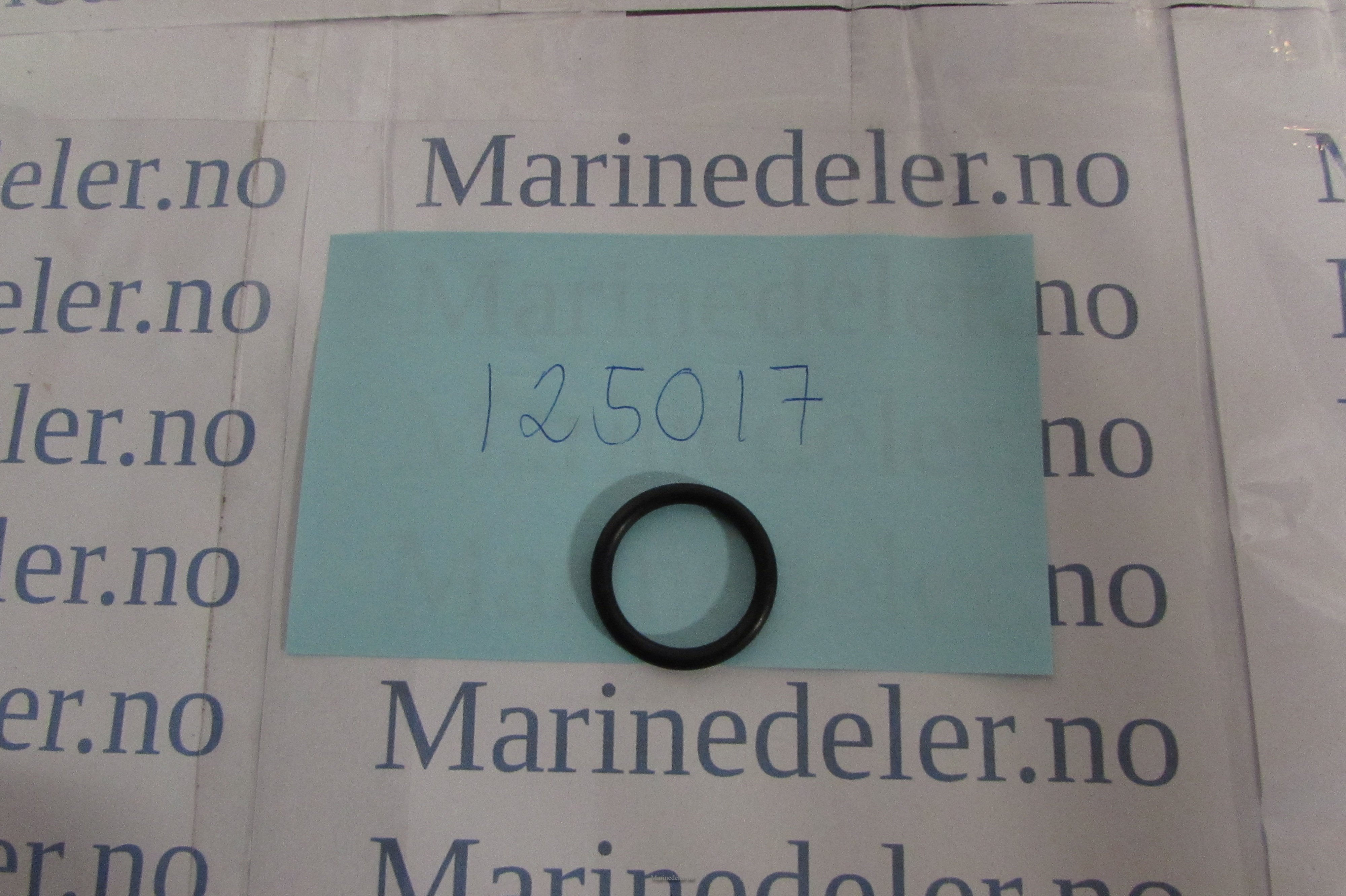 (bilde for) O-RING 125017