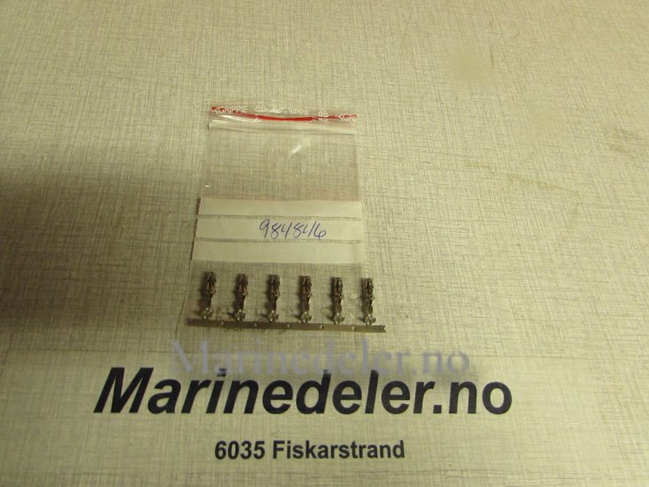 (bilde for) LEDNINGSSKO