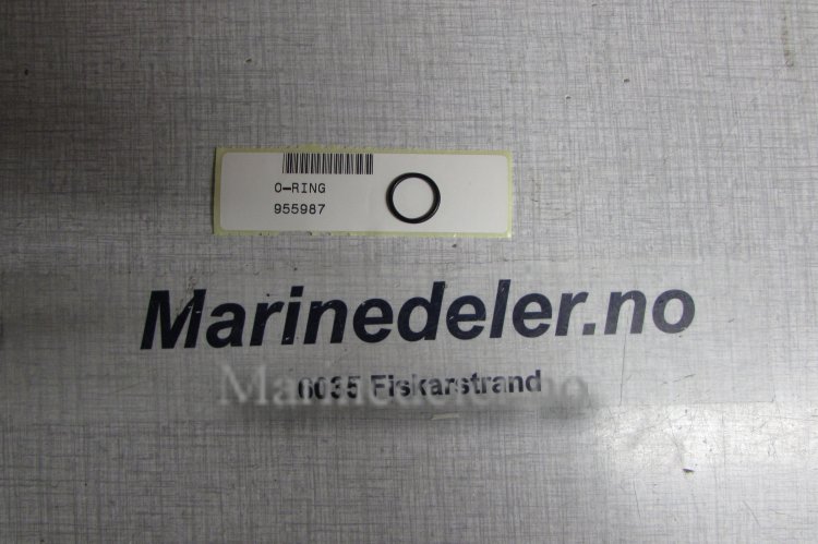 (bilde for) O-RING 955987