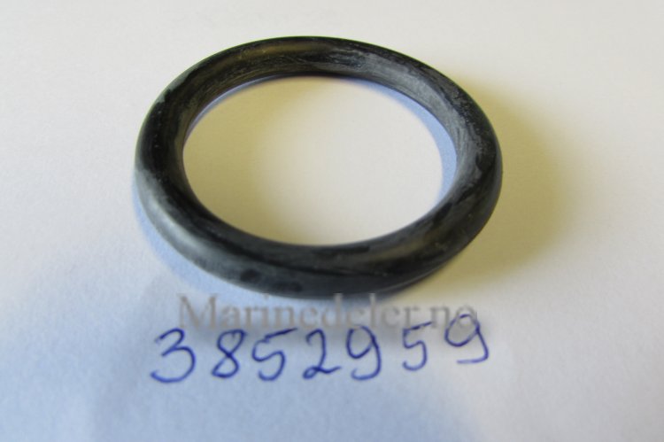 (bilde for) O-RING 3852959