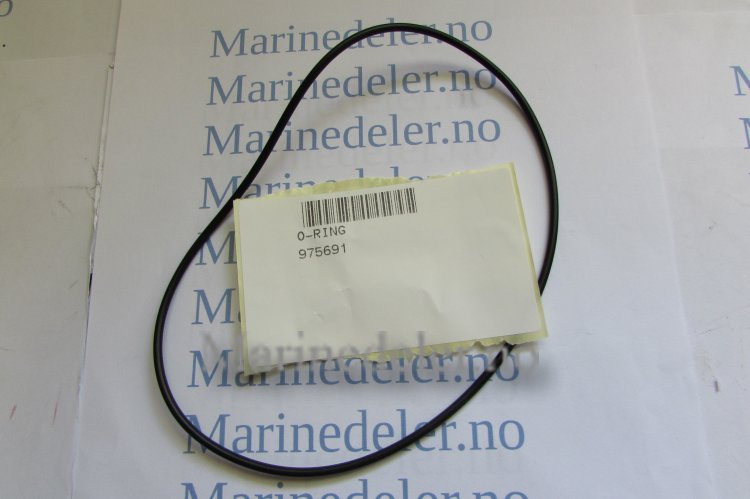 (bilde for) z O-RING 975691