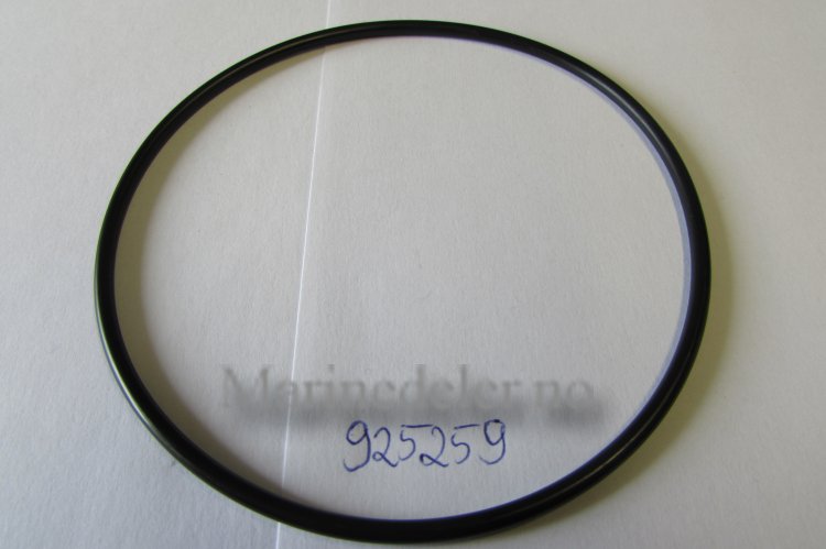 (bilde for) O-RING925259 (ettermarkedsdel)