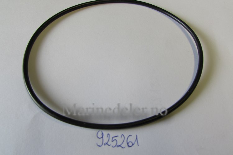 (bilde for) O-RING 925261