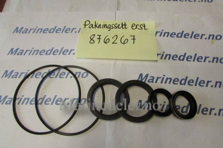 (bilde for) Pakningssett876267 propellaksel 290 DP (ettermarkedsdel)