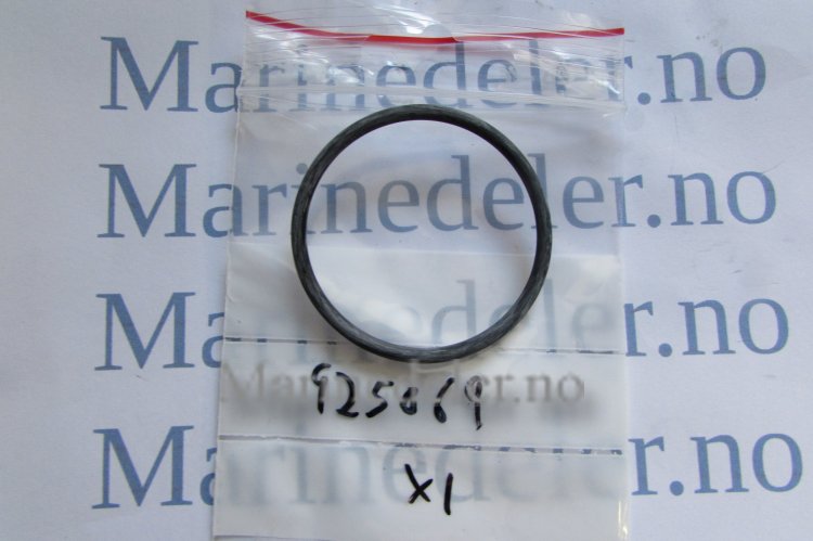 (bilde for) O-RING 925069