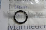 (bilde for) O-RING 3885174