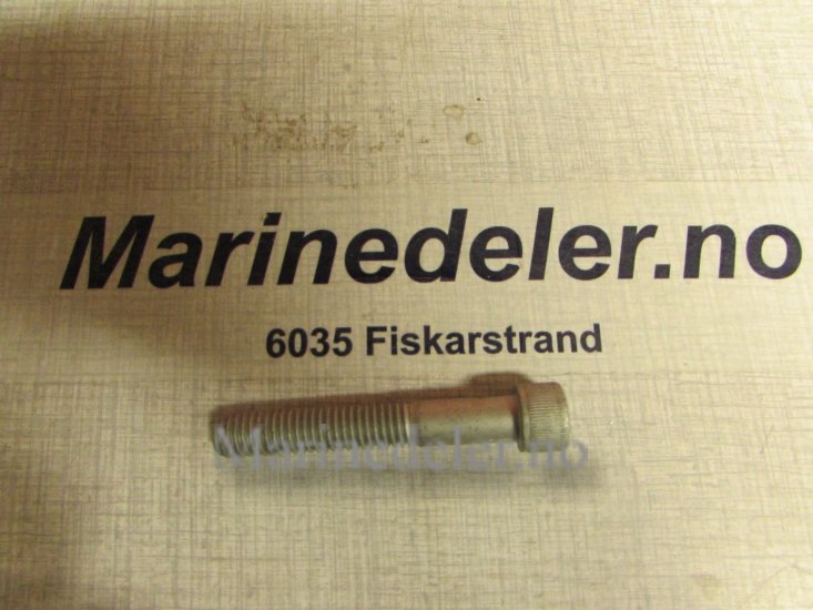 (bilde for) INSEXSKRUV 60114327