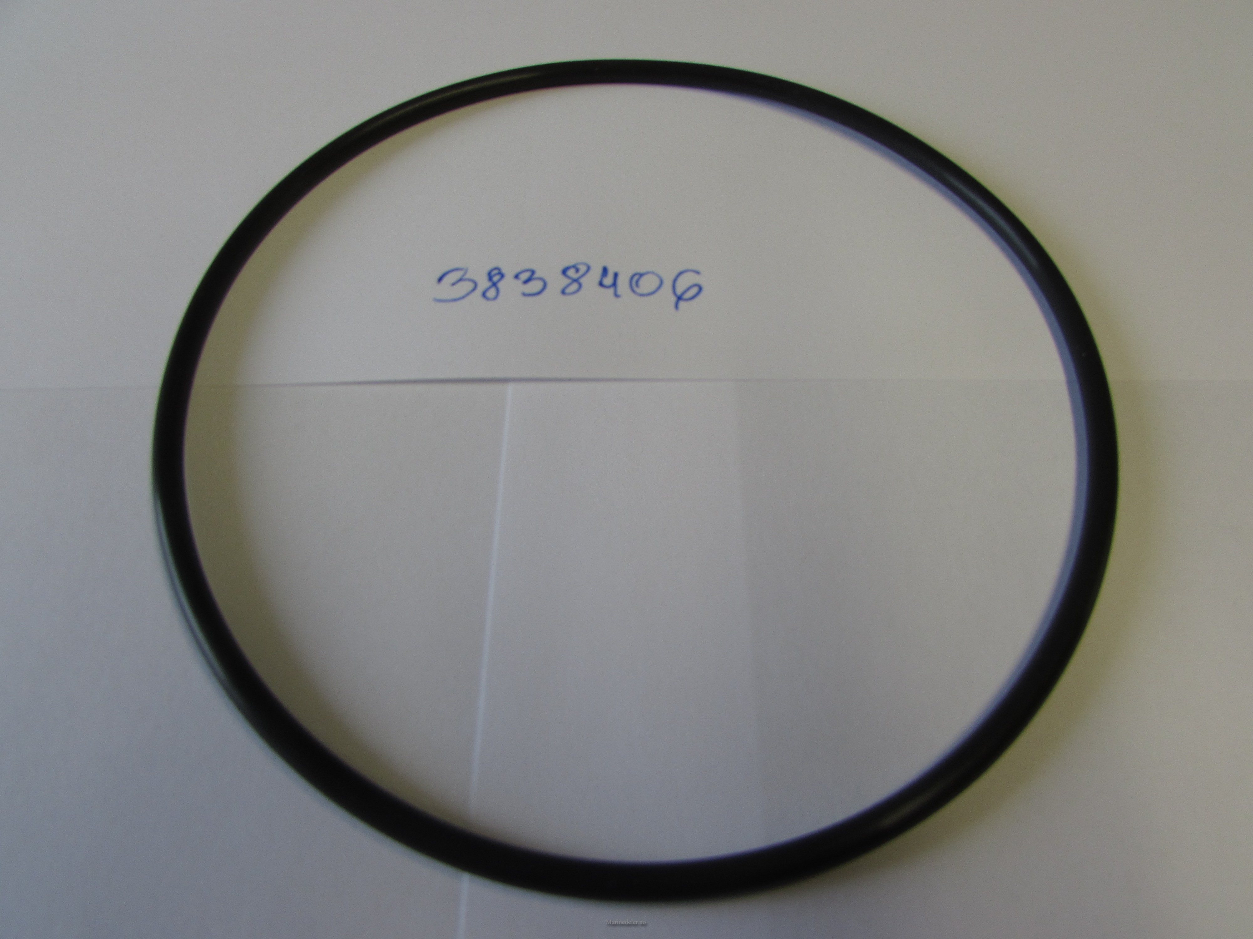 (bilde for) O-RING 3838406