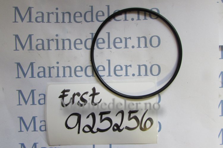 (bilde for) O-RING 925256 (ettermarkedsdel)