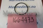 (bilde for) O-RING 1664473