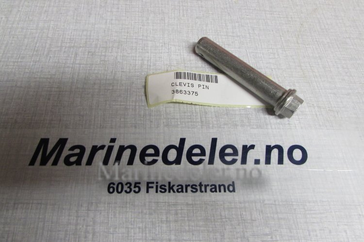 (bilde for) SAXPINNEBULT 3863375