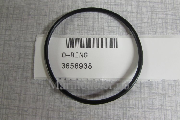 (bilde for) O-RING 3858938