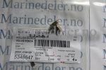 (bilde for) z SKRUV 471177