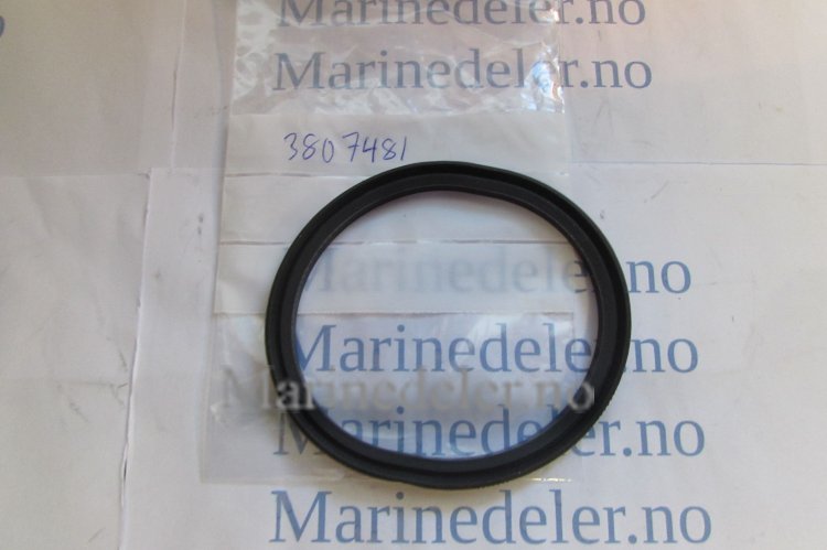 (bilde for) TÄTNINGSRING 3807481
