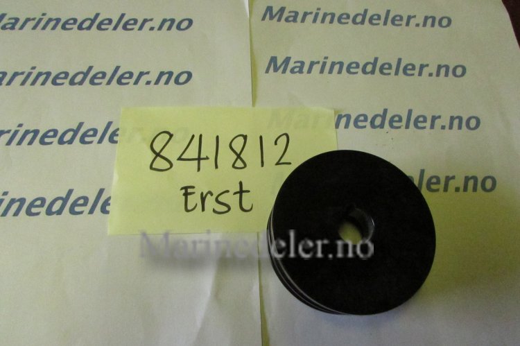 (bilde for) REMSKIVA 841812 (ettermarkedsdel)