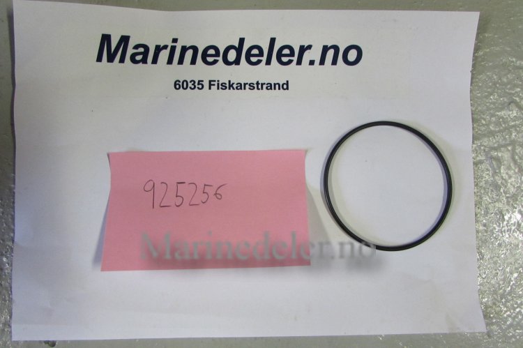 (bilde for) O-RING 925256