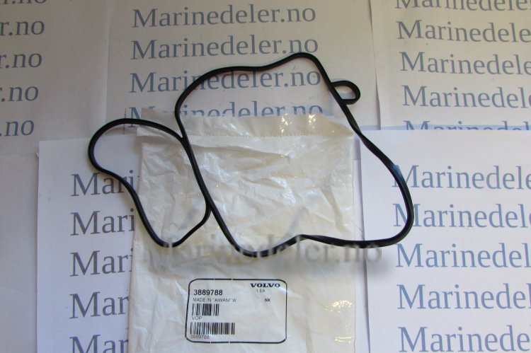 (bilde for) Paknign drev/transom 3889788 passer A og B modeller av DPS
