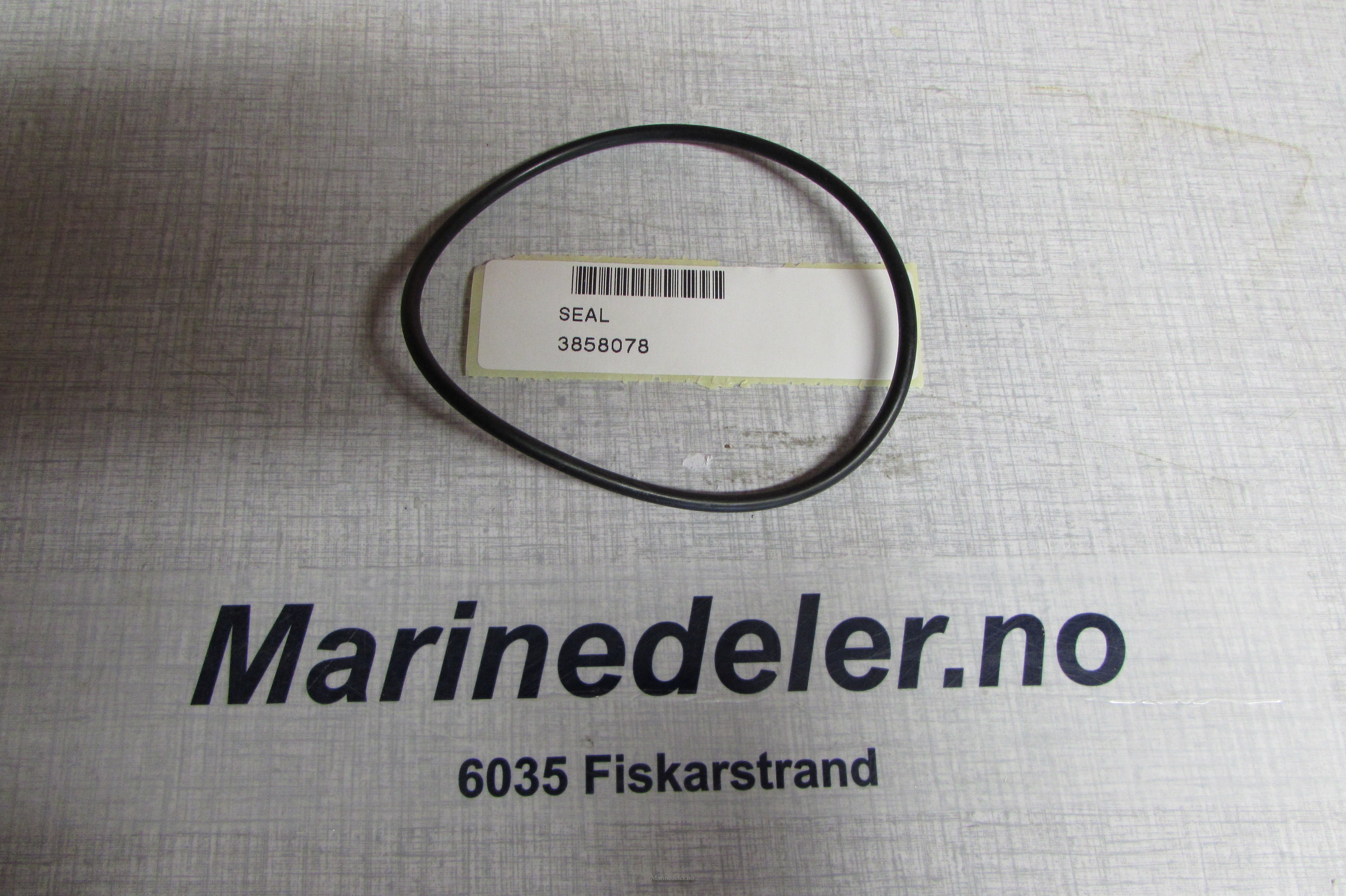(bilde for) TÄTNING 3858078