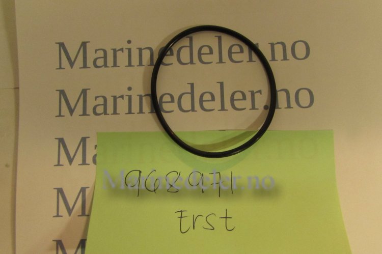 (bilde for) O-RING968971 (ettermarkedsdel)