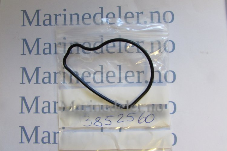 (bilde for) TÄTNING 3852560
