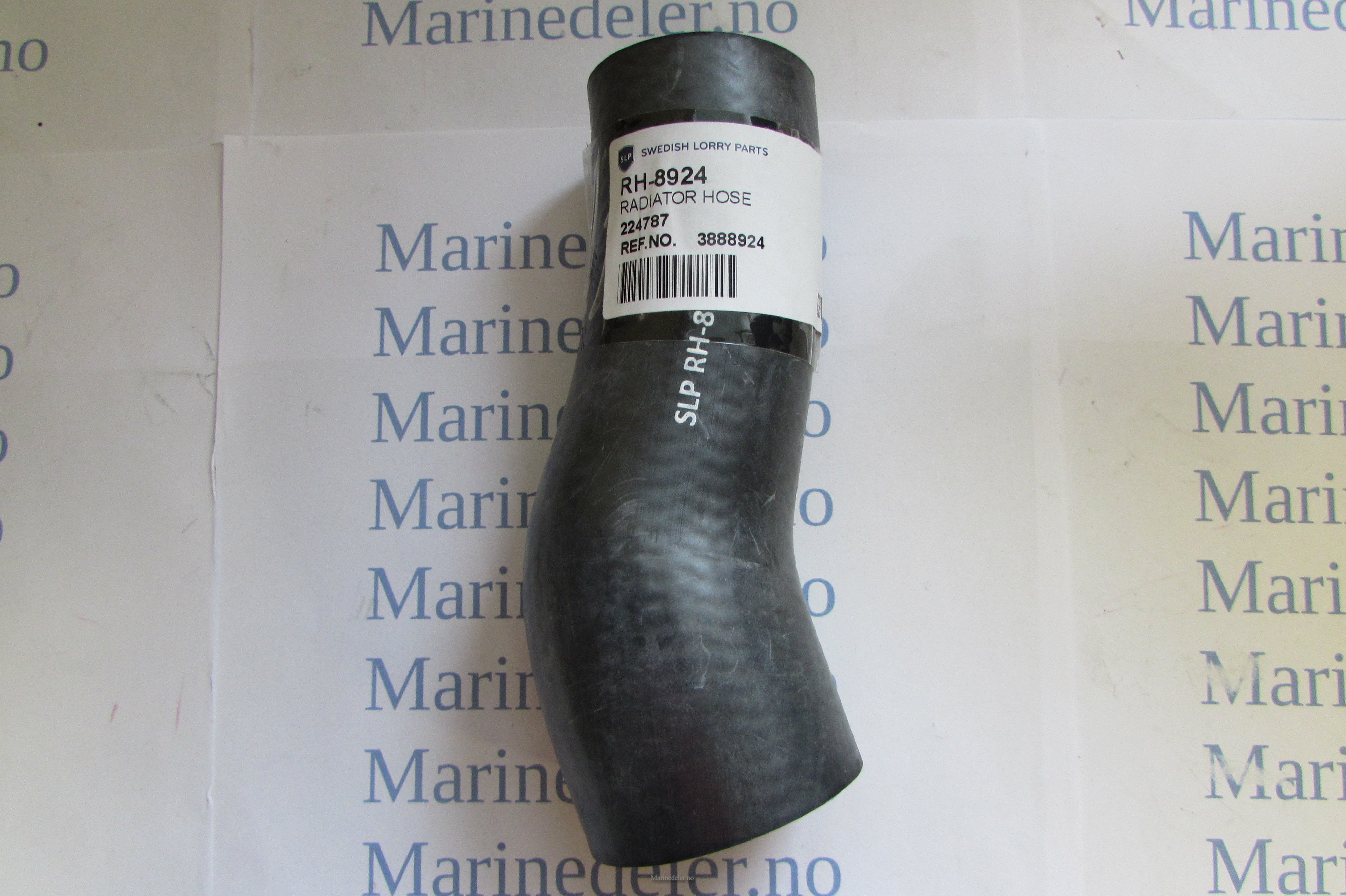 (bilde for) Sjøvansslange Erst 3888924