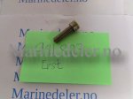 (bilde for) SKRUV (brukt) Erst 941807