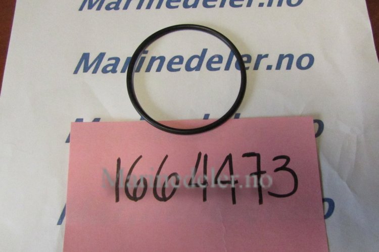 (bilde for) O-RING 1664473