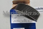 (bilde for) REiMSKIVE 21299963
