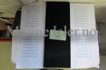 (bilde for) LUFTFILTERINSATS 3825038 (ettermarkedsdel)