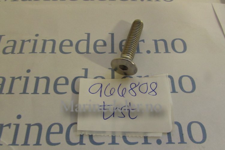 (bilde for) SKRUV 966808 (ettermarkedsdel)