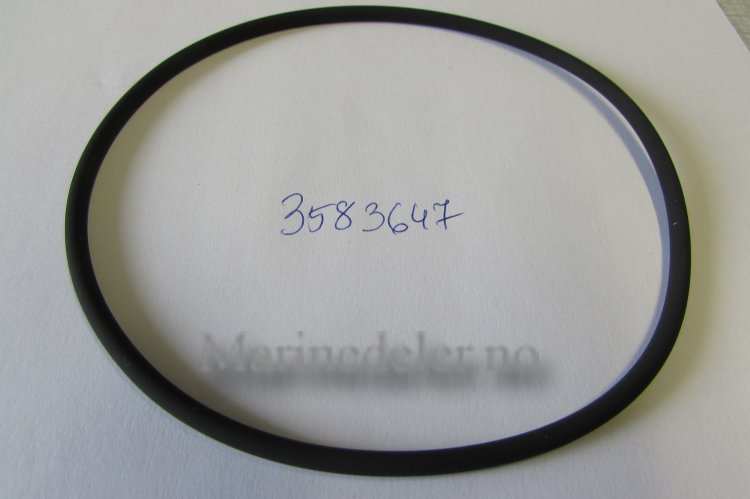 (bilde for) O-RING 3583647