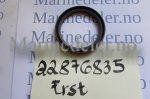 (bilde for) TÄTNINGSRING erst 22876835