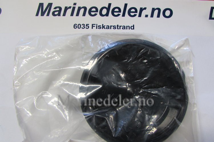 (bilde for) TÄTNING 3856926